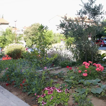 5061a New Translation